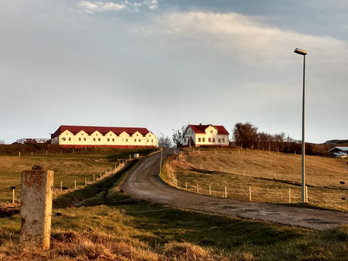 Helluland Guesthouse Saudarkrokur Dış mekan fotoğraf