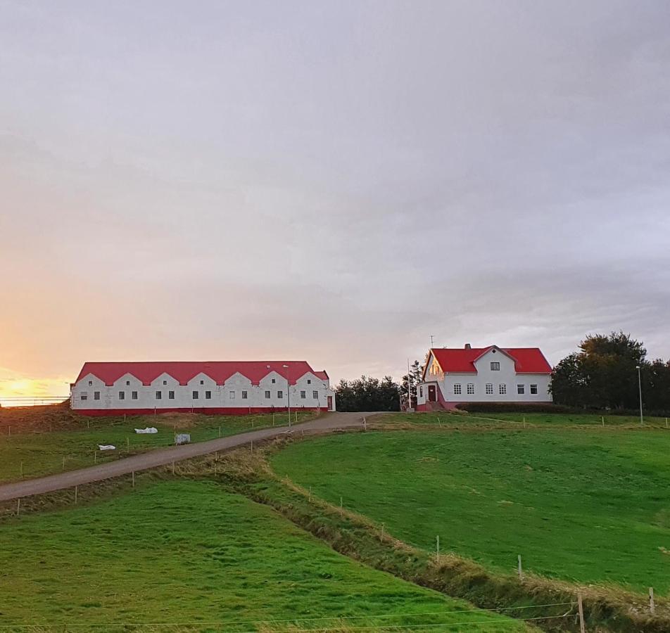 Helluland Guesthouse Saudarkrokur Dış mekan fotoğraf